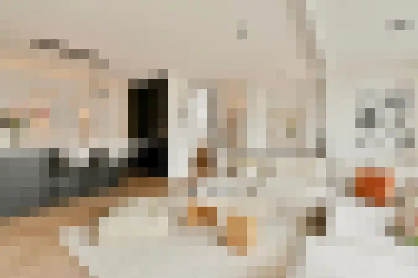 Roemer Visscherstraat 14 4 Amsterdam thumbnail 6