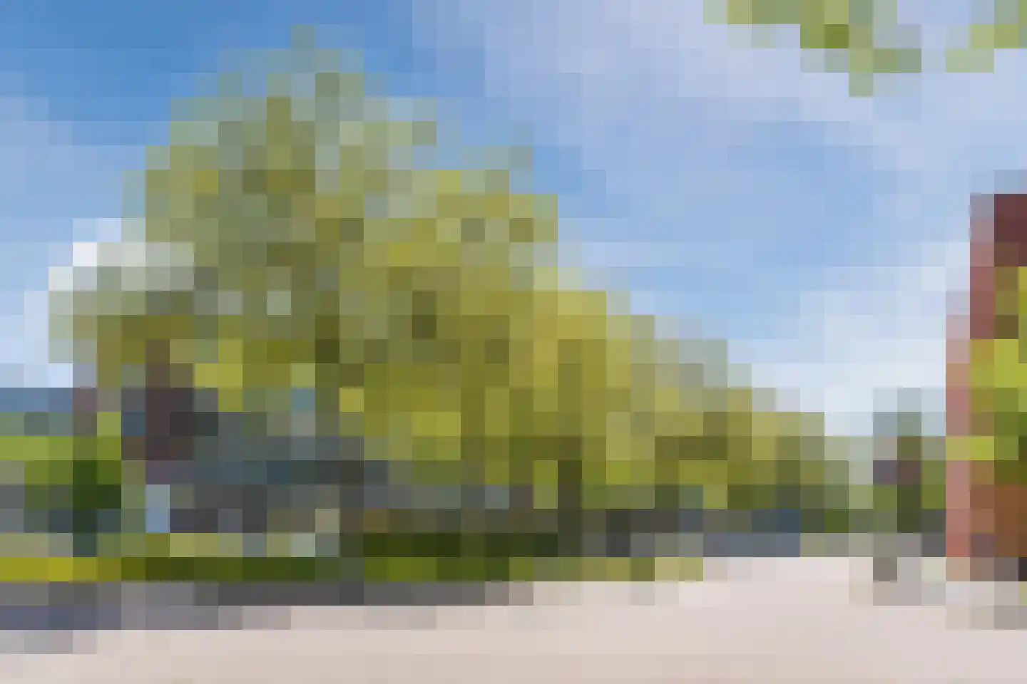 Roemer Visscherstraat 152 Vlaardingen thumbnail 43