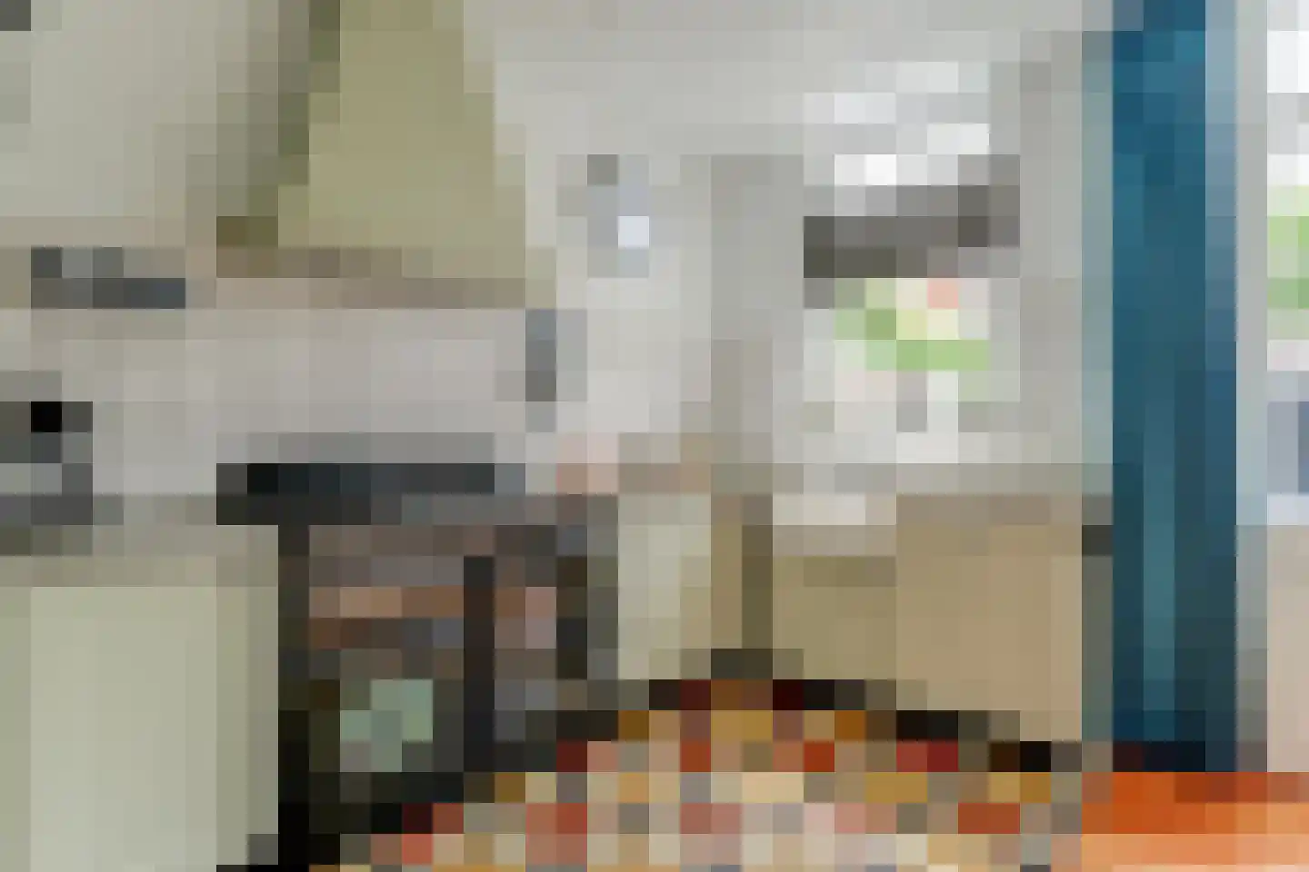 Roemer Visscherstraat 16 Alkmaar thumbnail 17