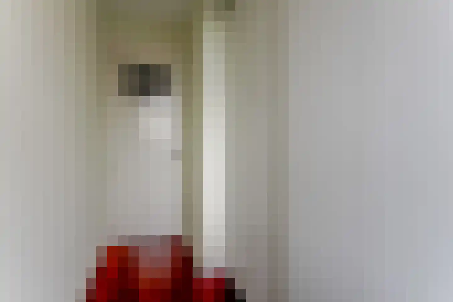Roemer Visscherstraat 16 Alkmaar thumbnail 33