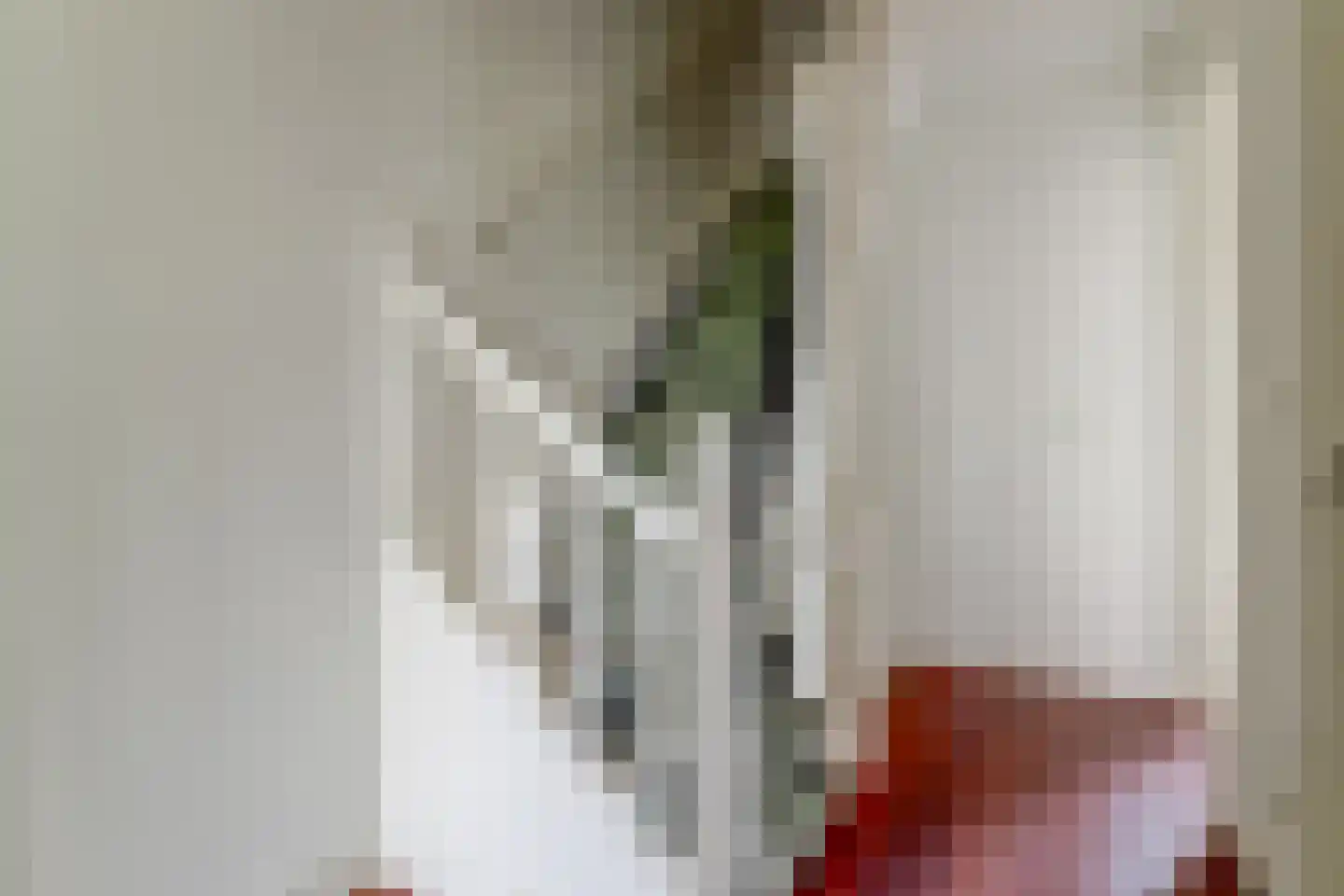 Roemer Visscherstraat 16 Alkmaar thumbnail 45