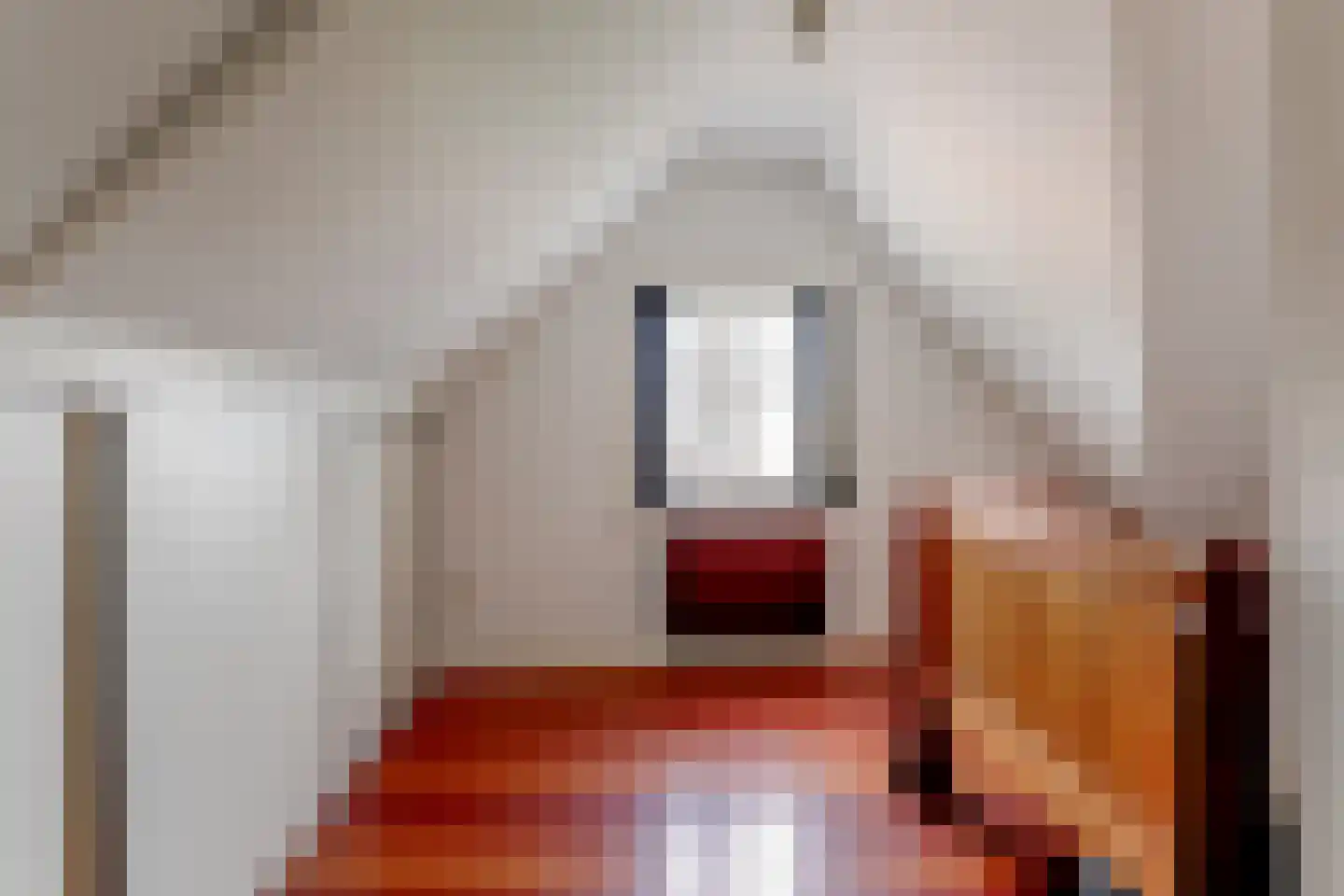 Roemer Visscherstraat 16 Alkmaar thumbnail 50