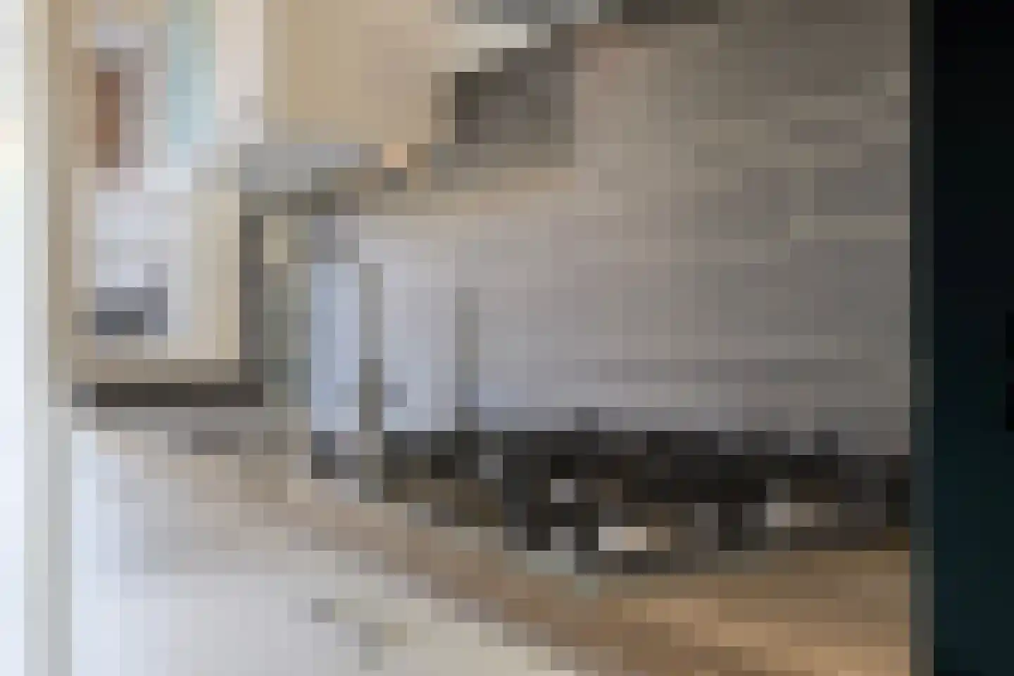 Roemer Visscherstraat 171 Haarlem thumbnail 20