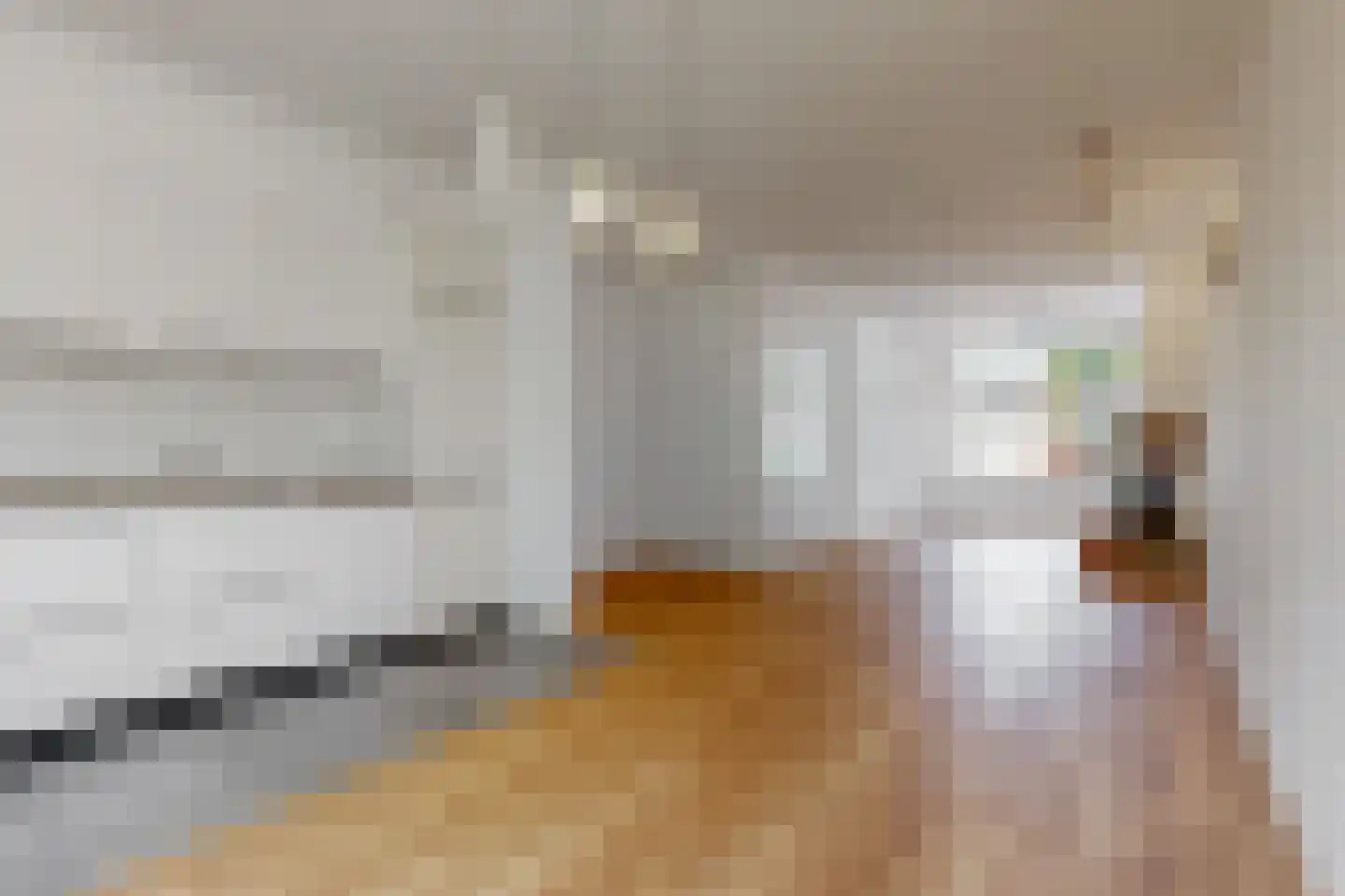 Roemer Visscherstraat 19 Leiden thumbnail 10