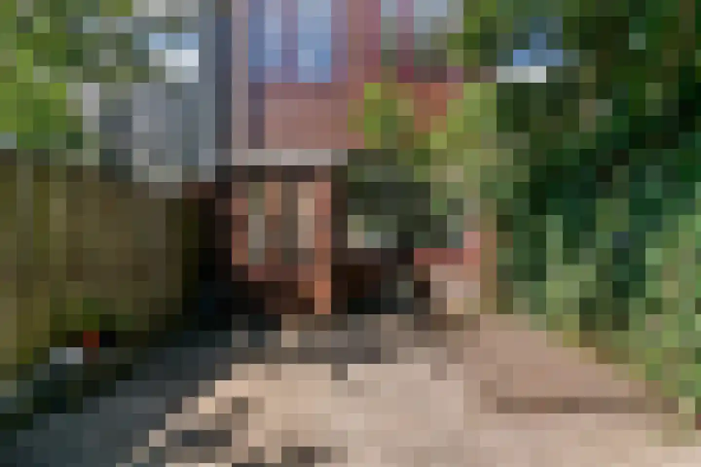 Roemer Visscherstraat 19 Leiden thumbnail 37