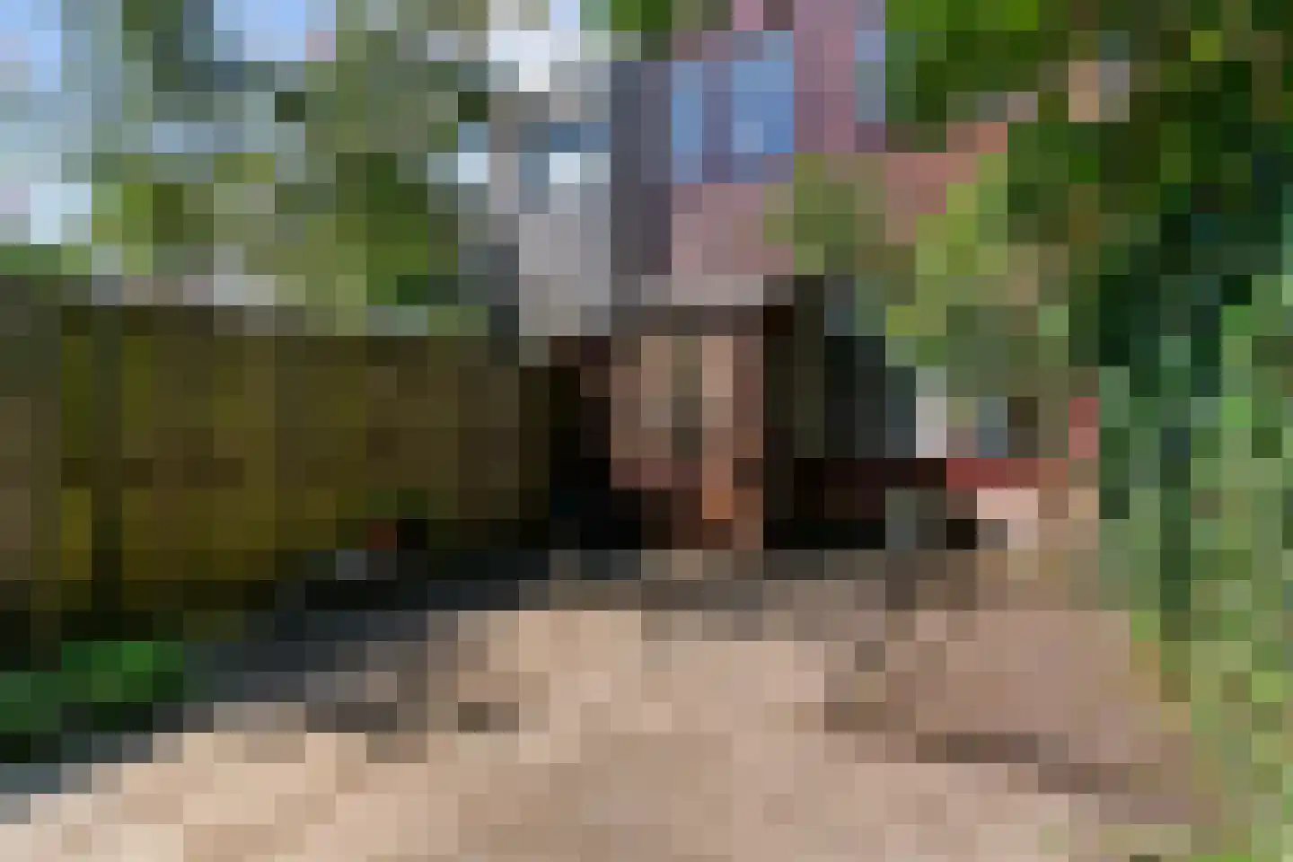 Roemer Visscherstraat 19 Leiden thumbnail 39