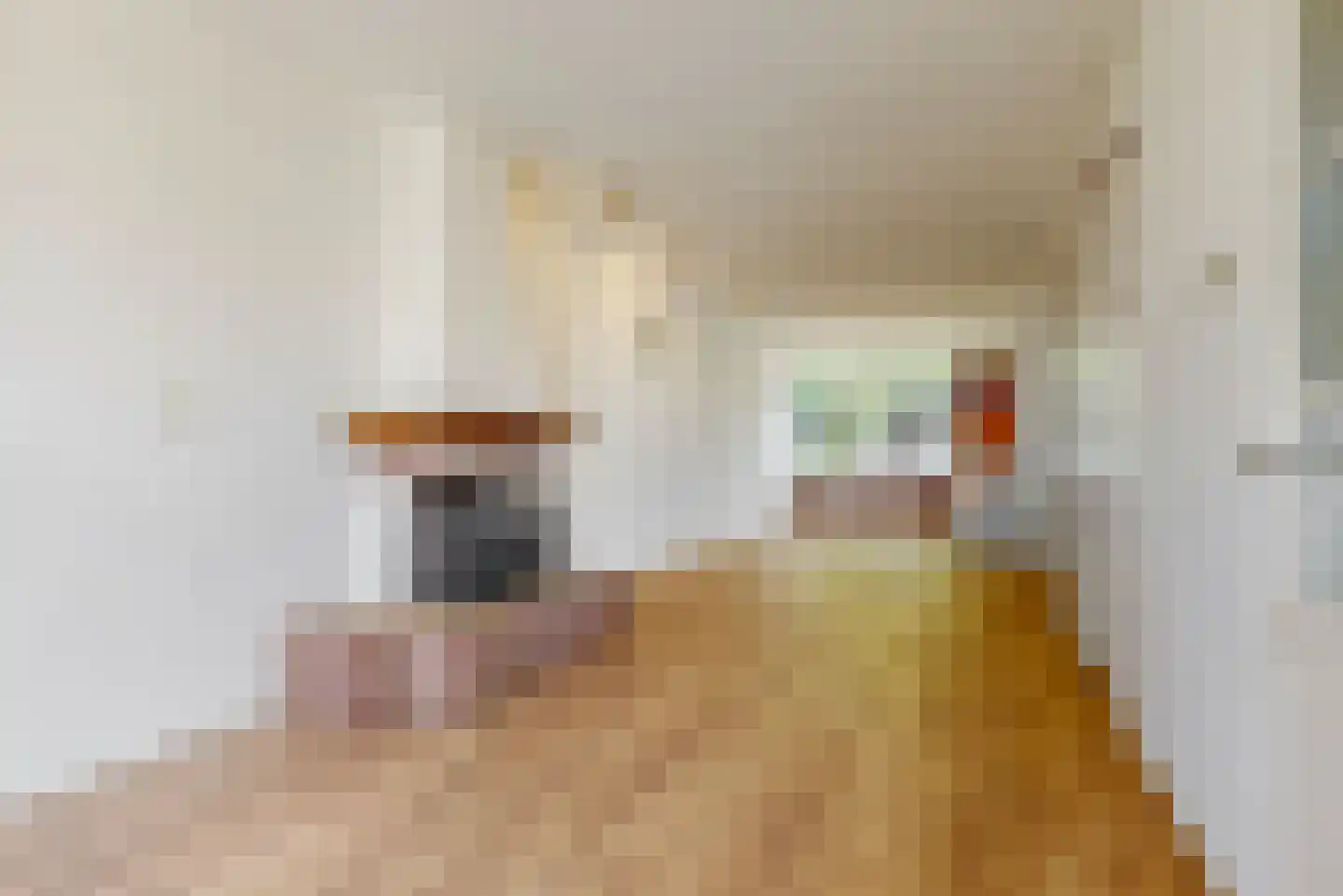 Roemer Visscherstraat 19 Leiden thumbnail 4