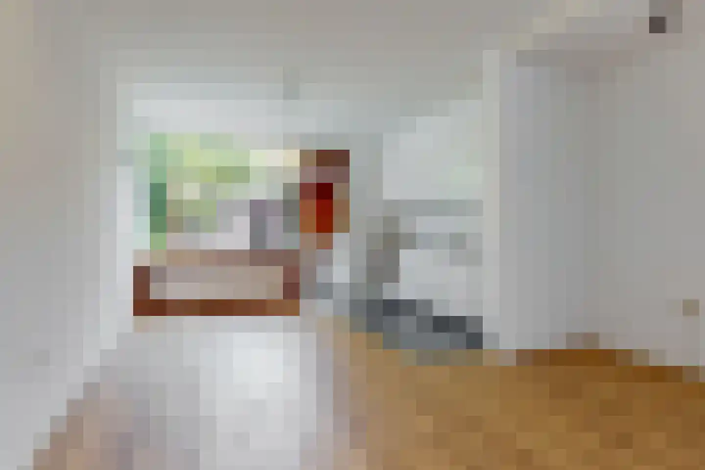 Roemer Visscherstraat 19 Leiden thumbnail 9