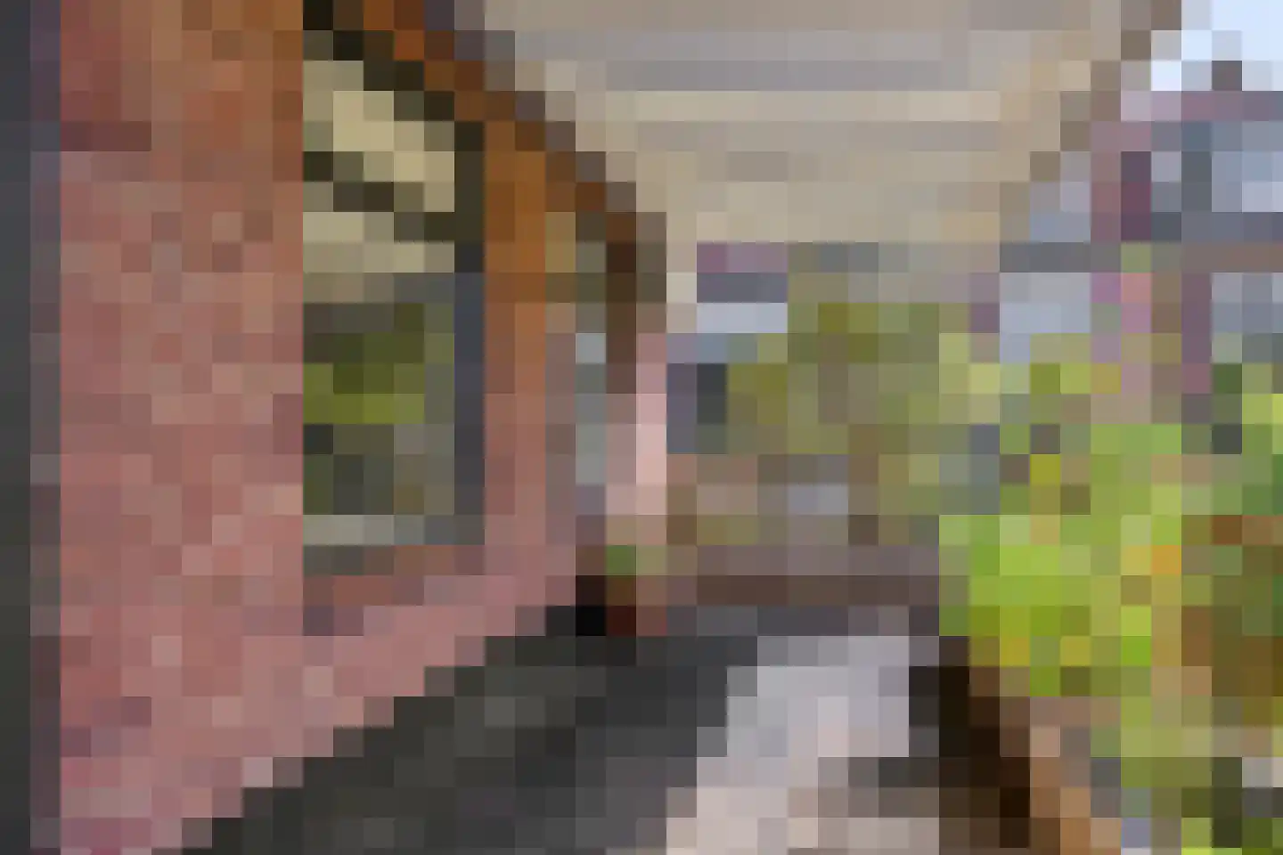 Roemer Visscherstraat 2 A Leiden thumbnail 17
