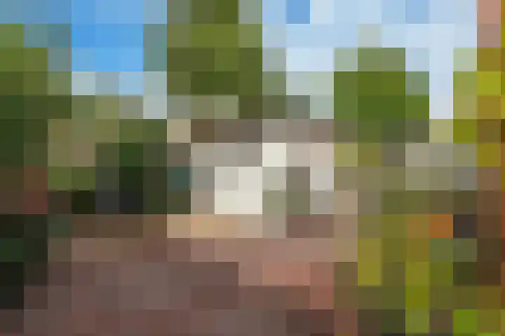 Roemer Visscherstraat 2 Hoogezand thumbnail 5