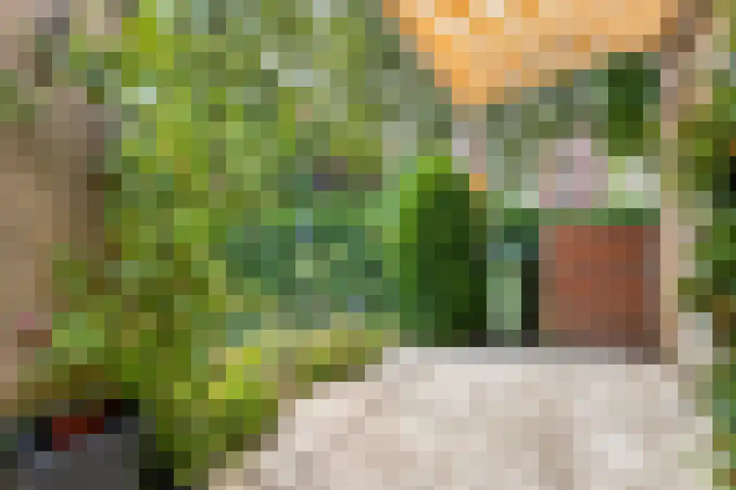 Roemer Visscherstraat 2 Krimpen aan de Lek thumbnail 21