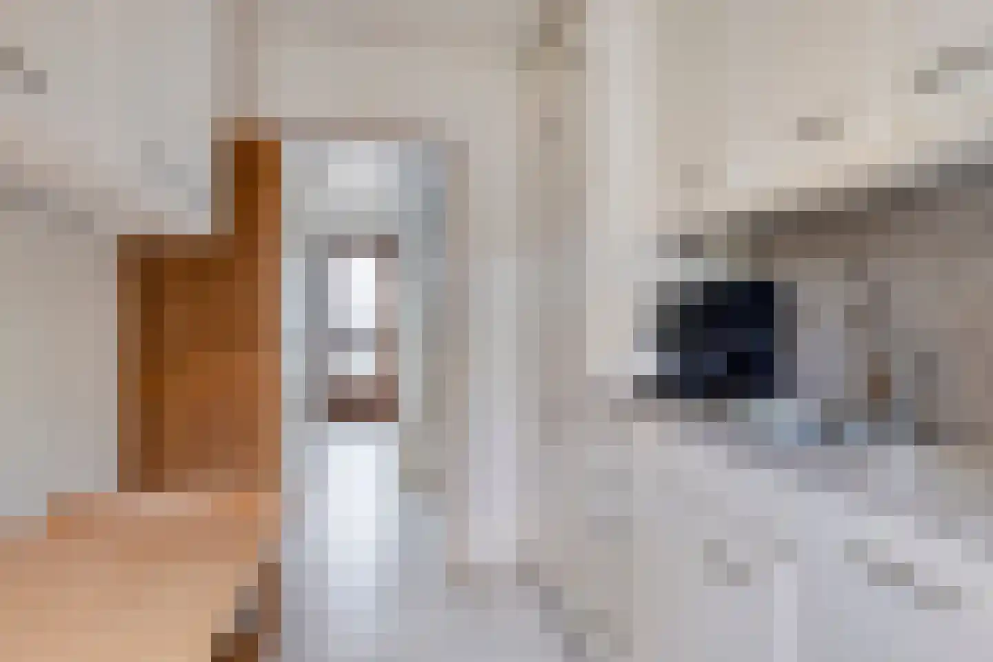Roemer Visscherstraat 2 Krimpen aan de Lek thumbnail 7