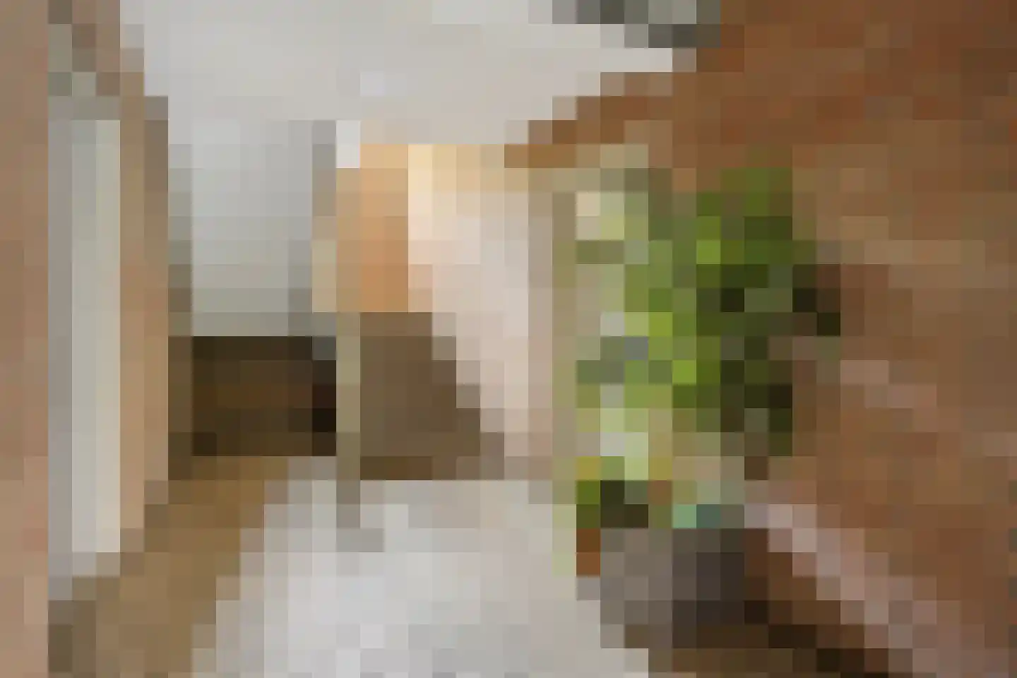 Roemer Visscherstraat 210 Vlaardingen thumbnail 7