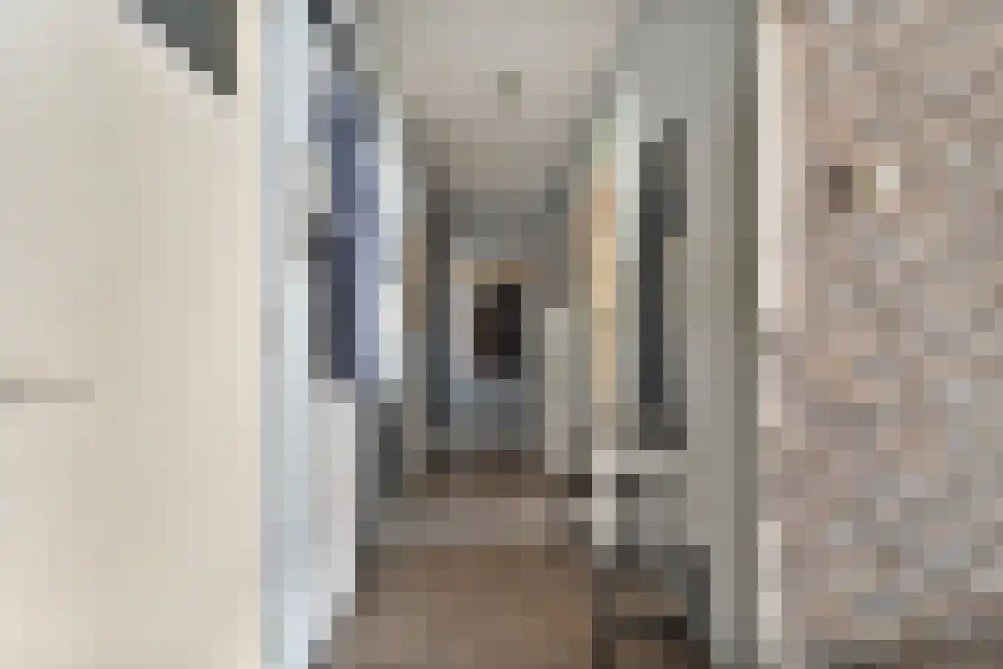 Roemer Visscherstraat 219 Den Haag thumbnail 9