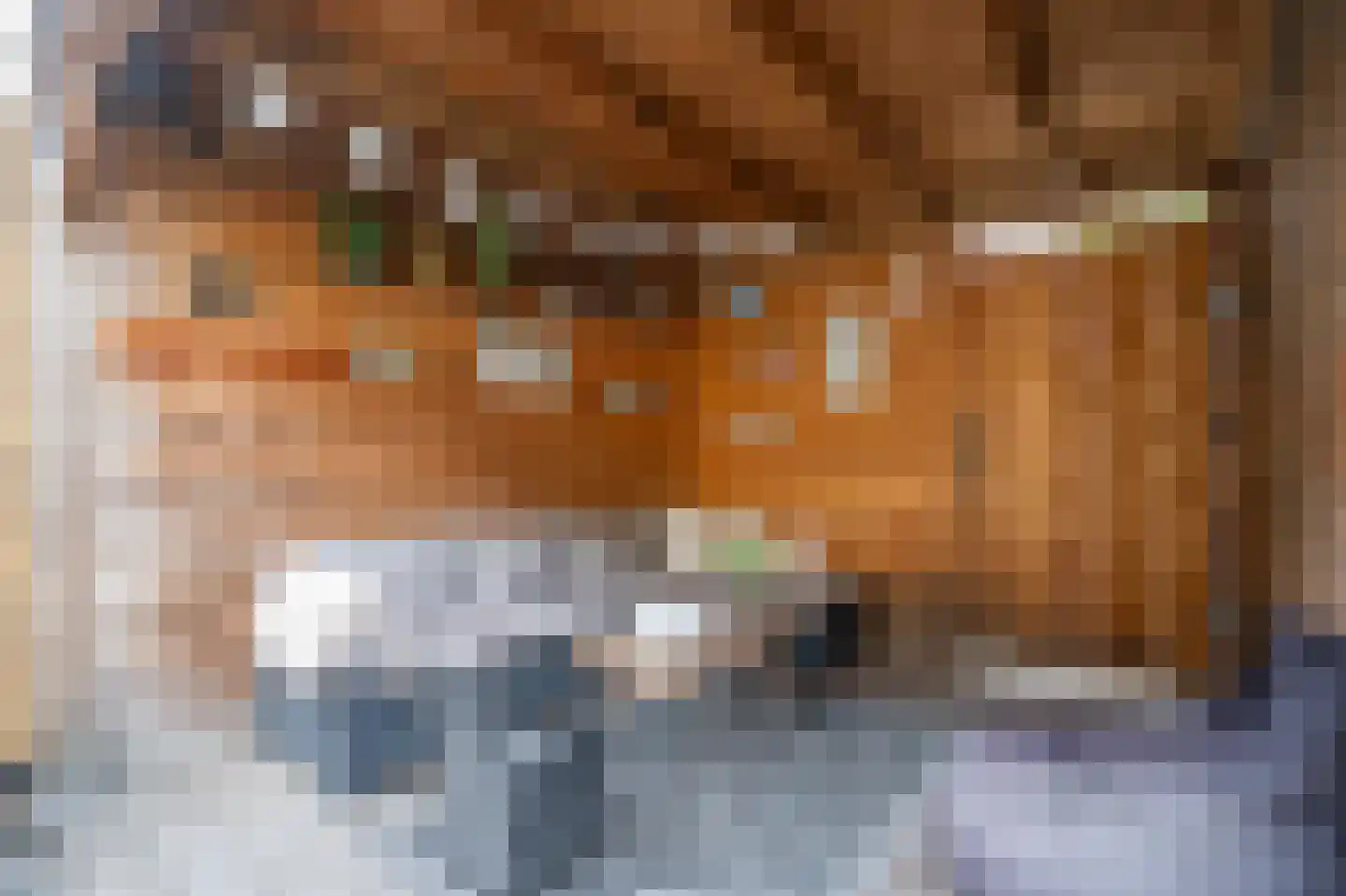Roemer Visscherstraat 23 Alblasserdam thumbnail 14