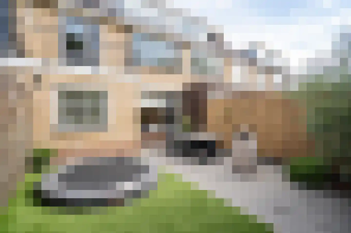 Roemer Visscherstraat 23 Alblasserdam thumbnail 17