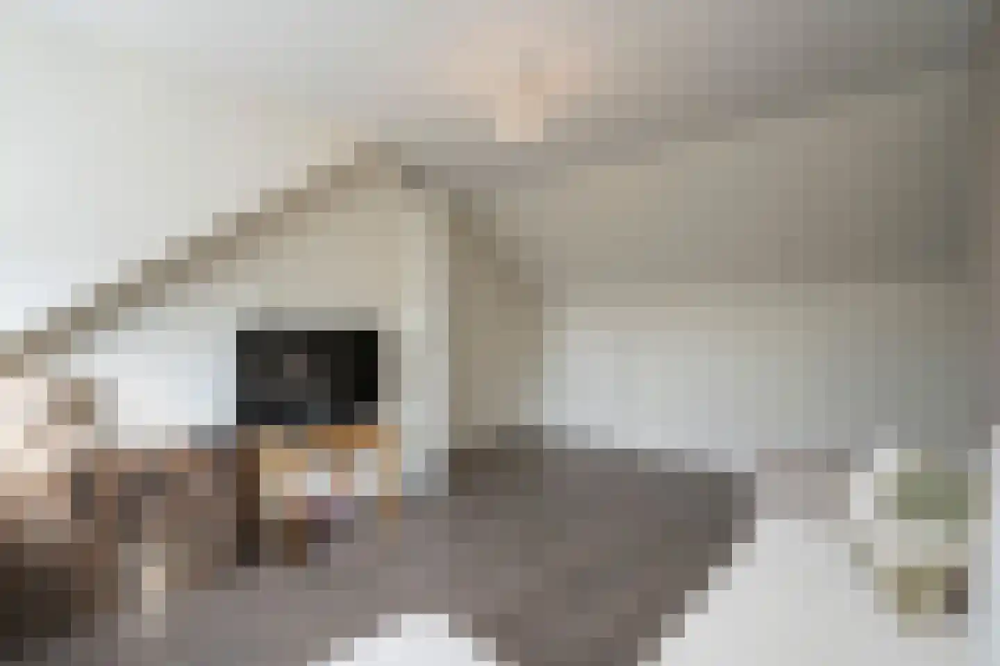 Roemer Visscherstraat 23 Alblasserdam thumbnail 31