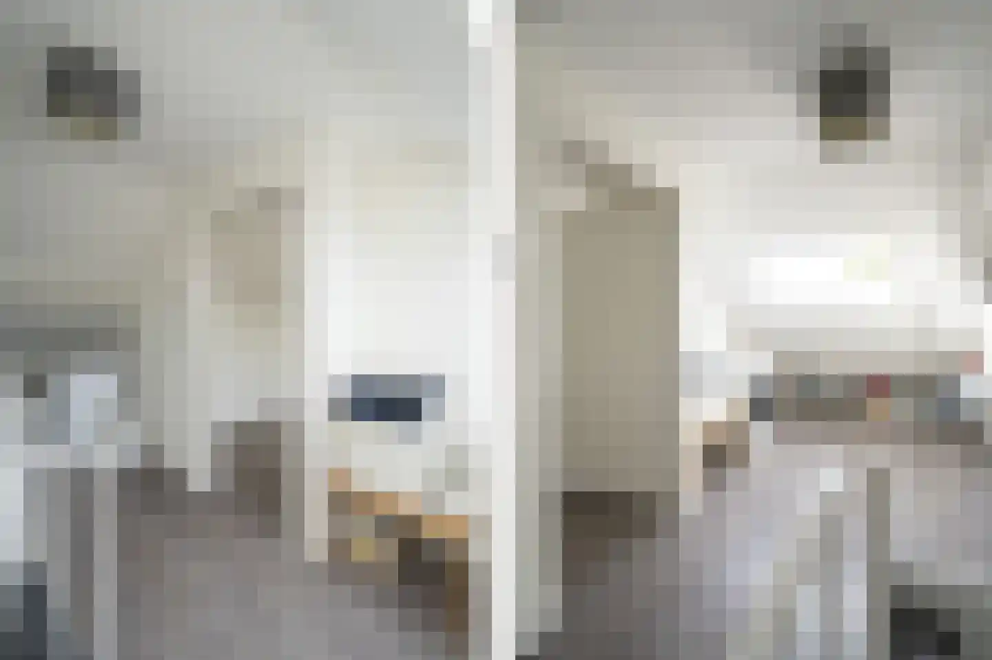 Roemer Visscherstraat 23 Alblasserdam thumbnail 32