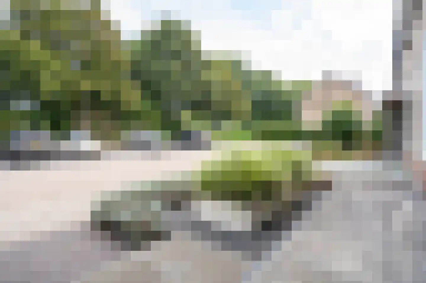 Roemer Visscherstraat 23 Alblasserdam thumbnail 5