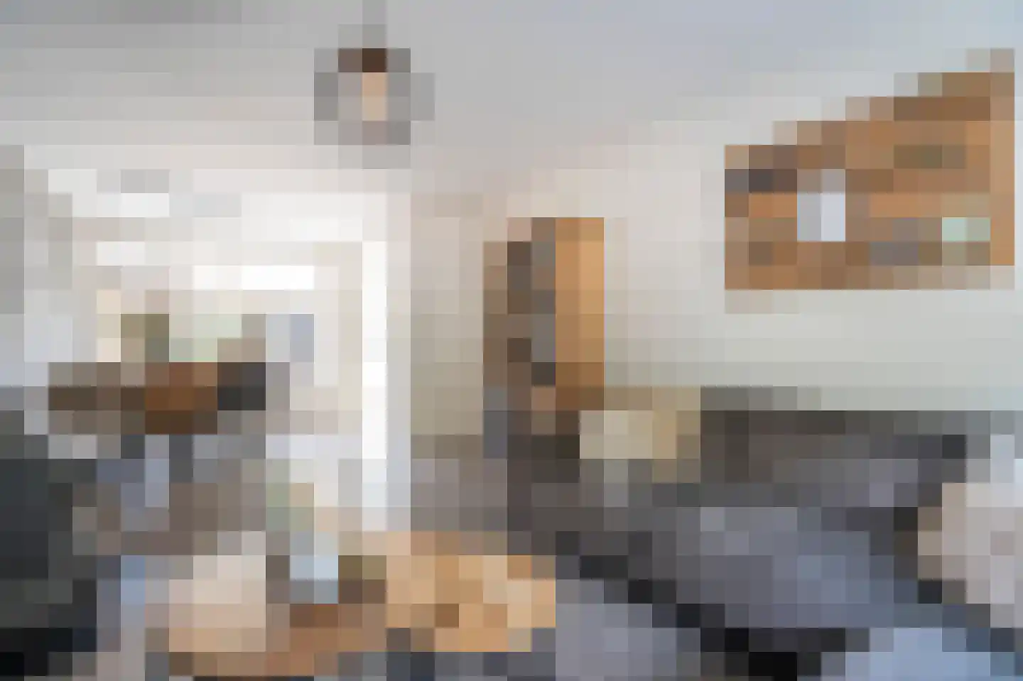 Roemer Visscherstraat 23 Alblasserdam thumbnail 7