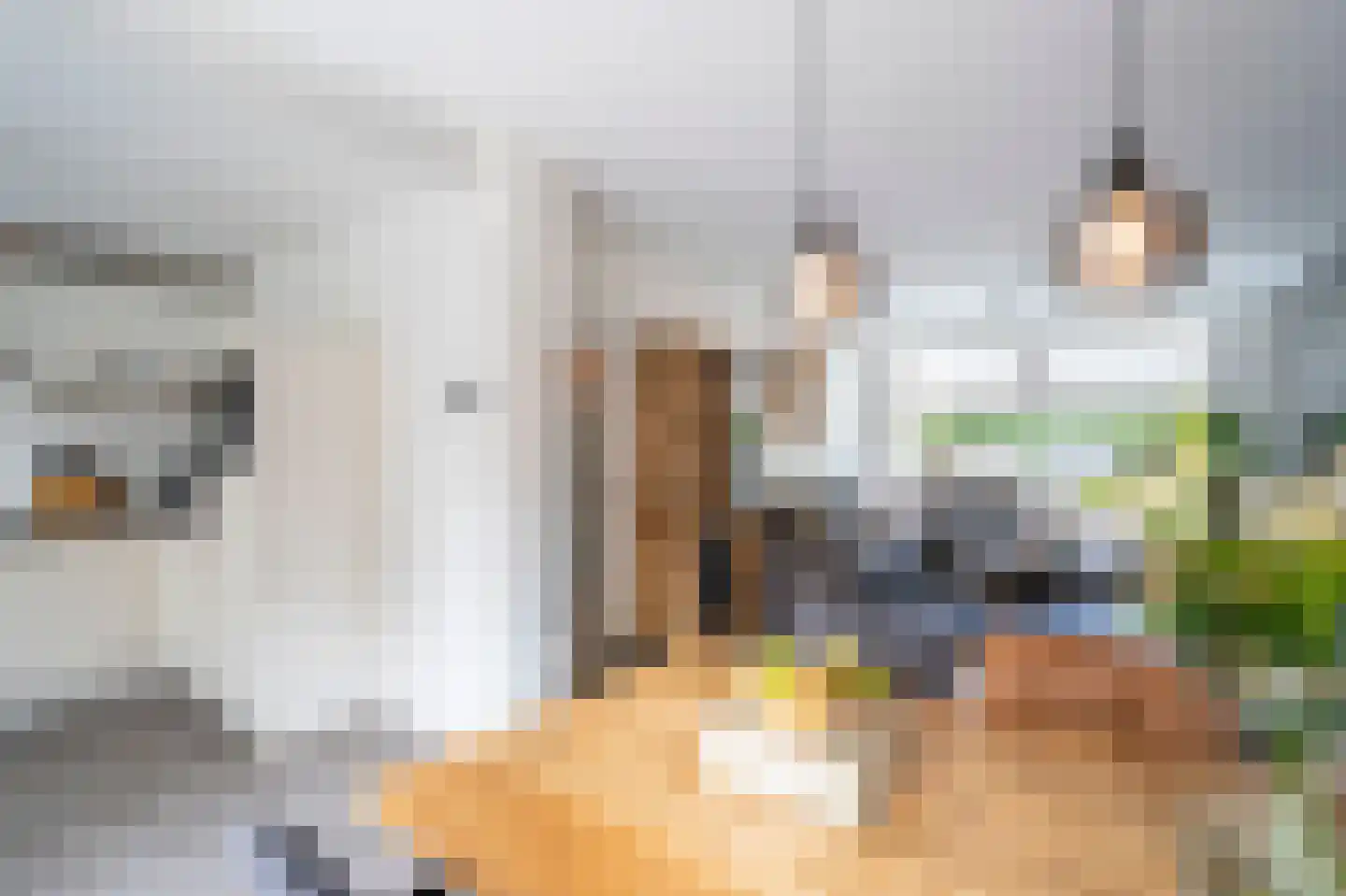 Roemer Visscherstraat 23 Alblasserdam thumbnail 9