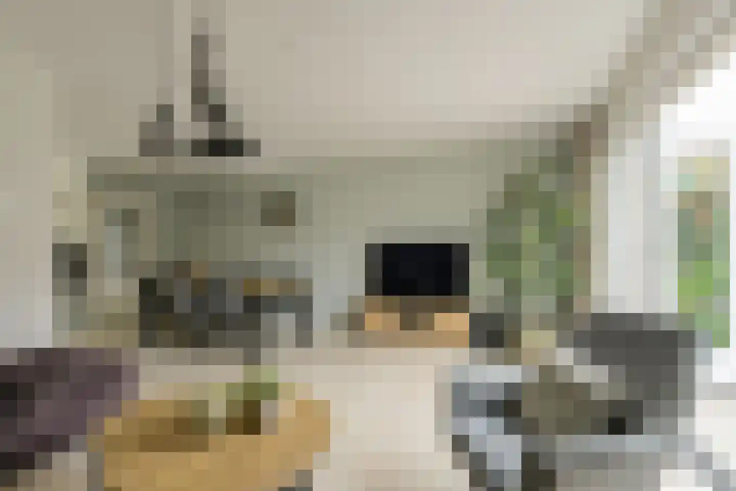 Roemer Visscherstraat 23 Raamsdonksveer thumbnail 16