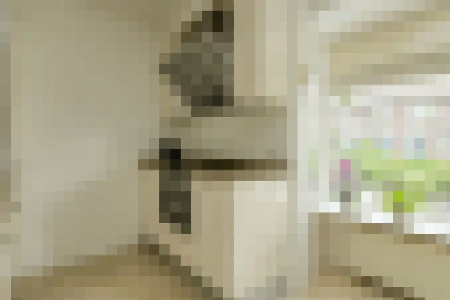 Roemer Visscherstraat 23 Raamsdonksveer thumbnail 21