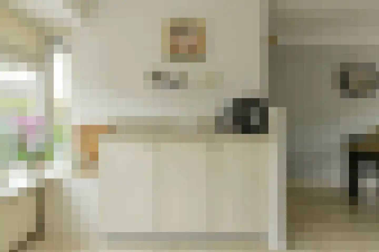 Roemer Visscherstraat 23 Raamsdonksveer thumbnail 24