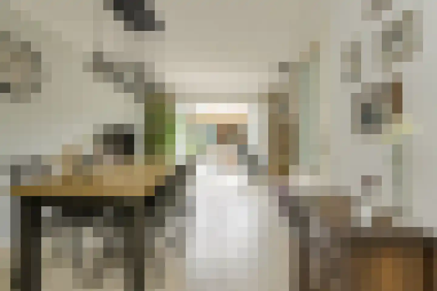 Roemer Visscherstraat 23 Raamsdonksveer thumbnail 25