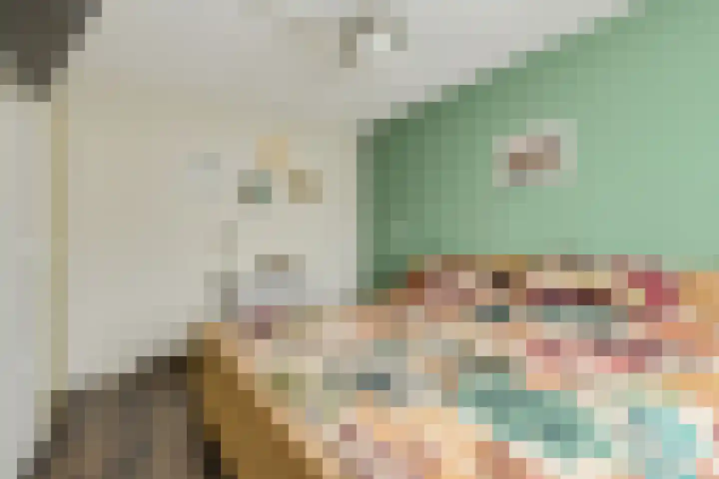 Roemer Visscherstraat 23 Raamsdonksveer thumbnail 32