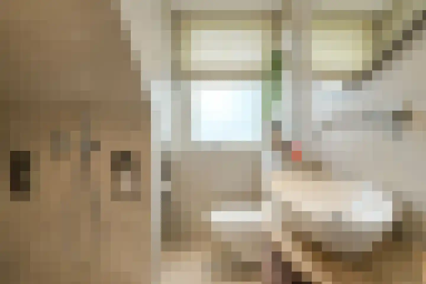Roemer Visscherstraat 23 Raamsdonksveer thumbnail 33