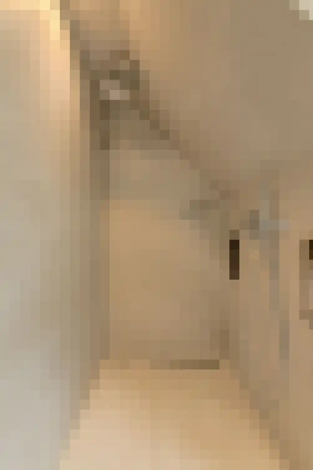 Roemer Visscherstraat 23 Raamsdonksveer thumbnail 34