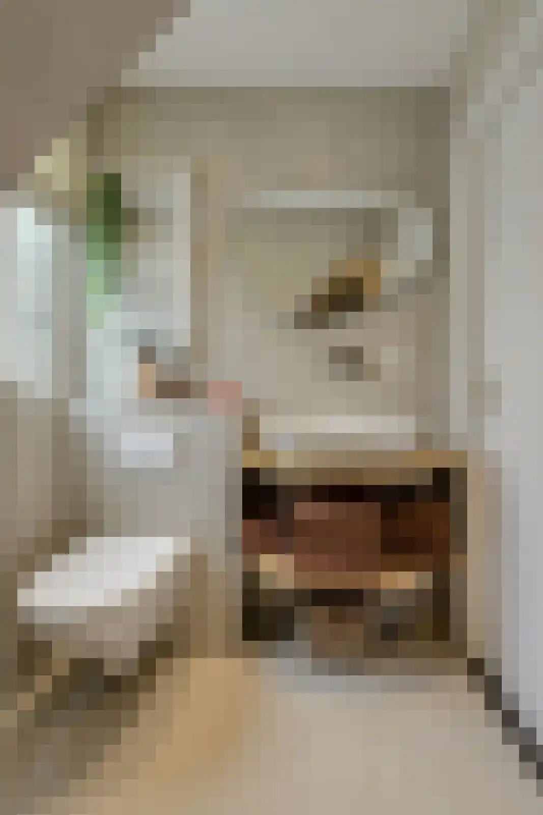 Roemer Visscherstraat 23 Raamsdonksveer thumbnail 35