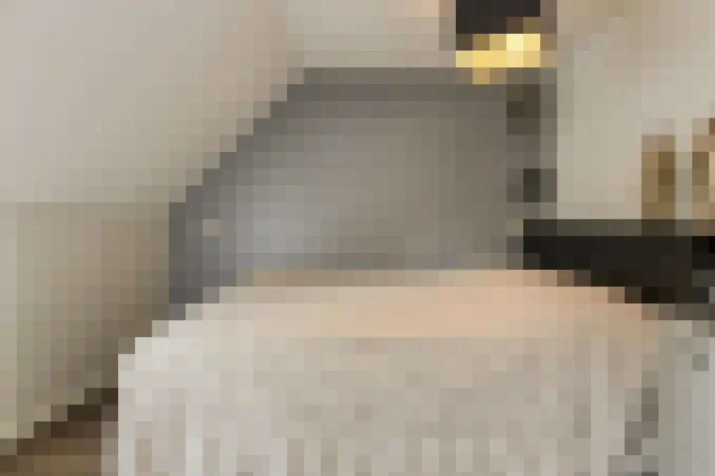 Roemer Visscherstraat 23 Raamsdonksveer thumbnail 36
