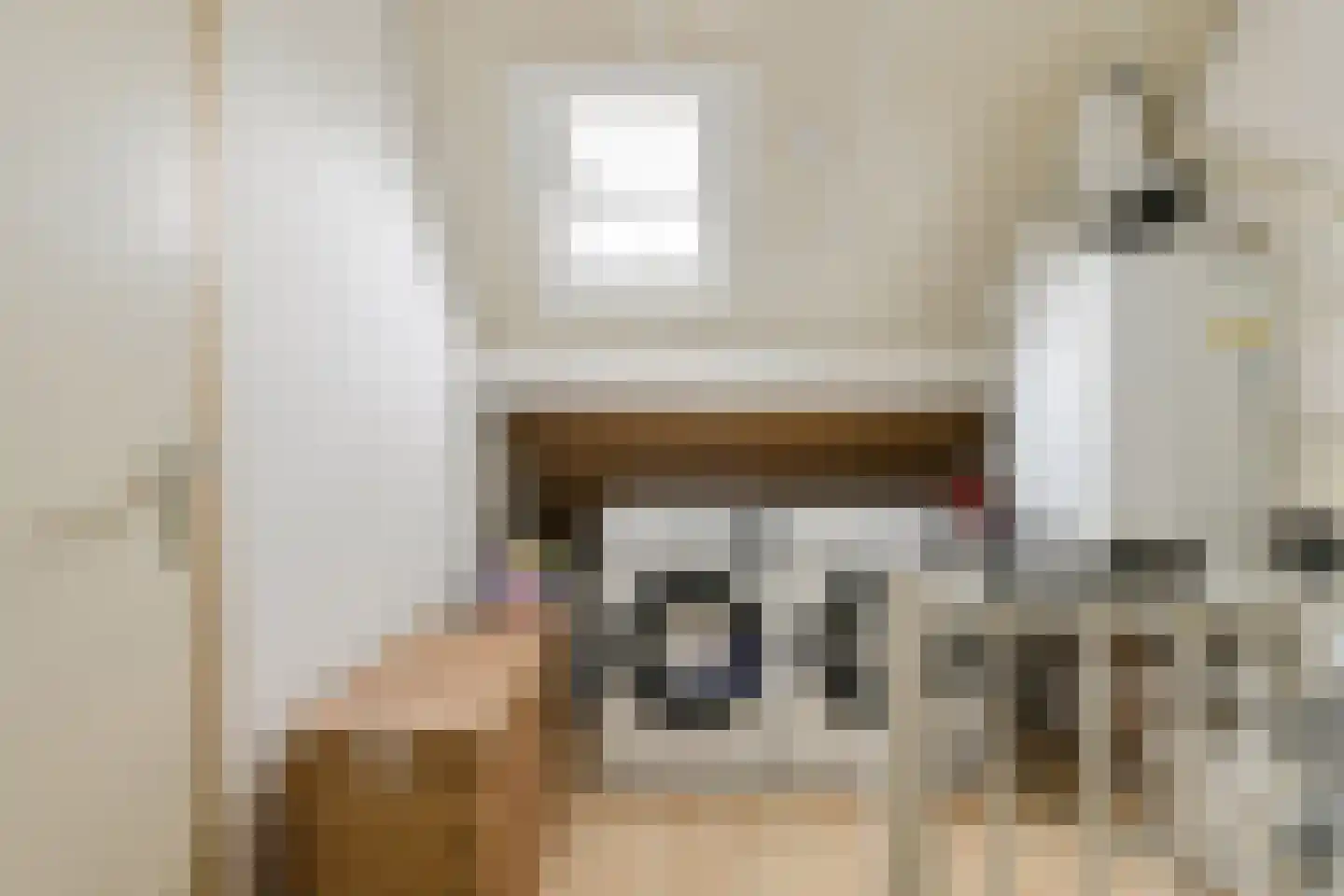 Roemer Visscherstraat 23 Raamsdonksveer thumbnail 43