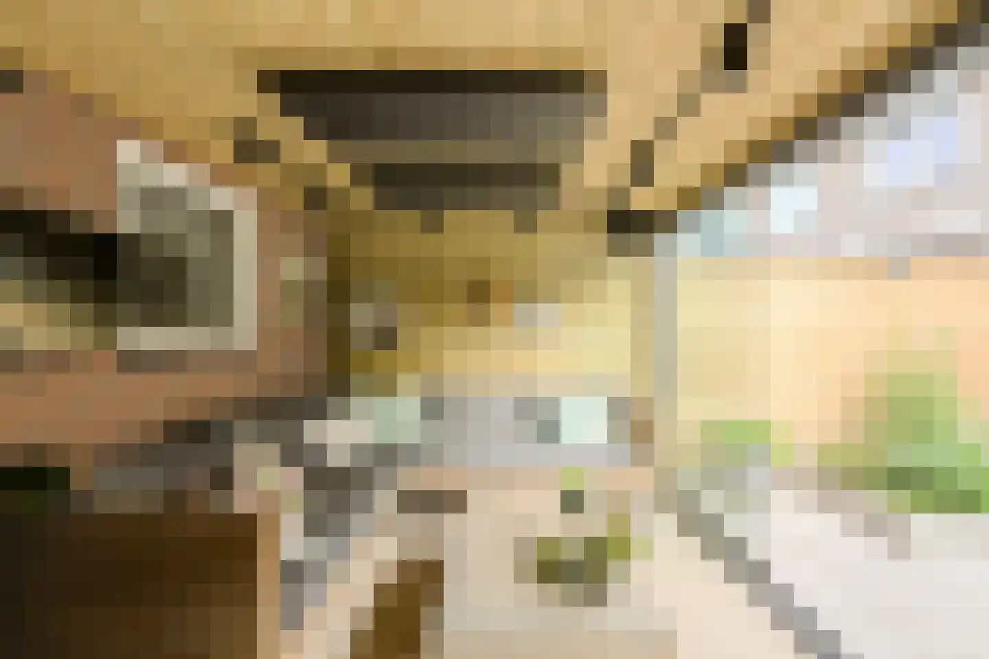 Roemer Visscherstraat 23 Raamsdonksveer thumbnail 48