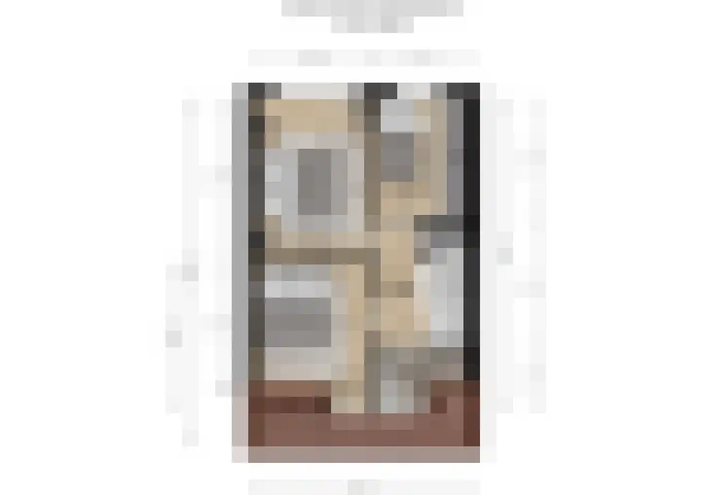 Roemer Visscherstraat 23 Raamsdonksveer thumbnail 57