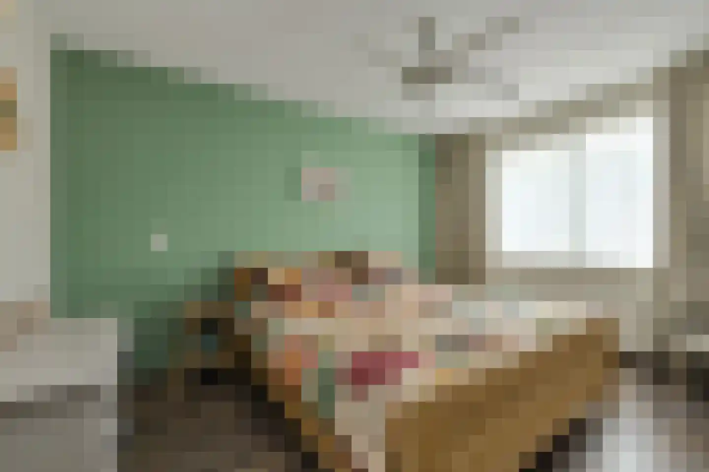 Roemer Visscherstraat 23 Raamsdonksveer thumbnail 7