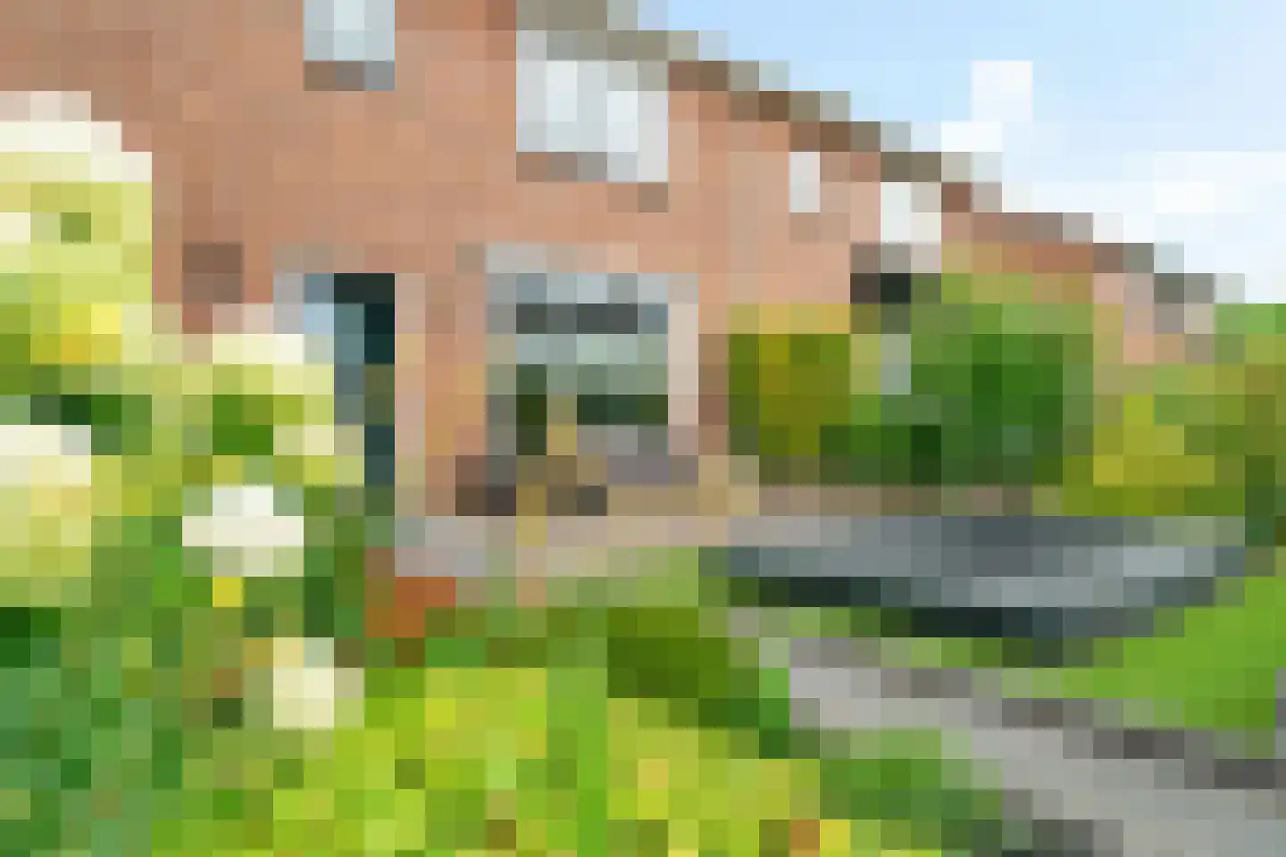 Roemer Visscherstraat 24 Harderwijk thumbnail 6
