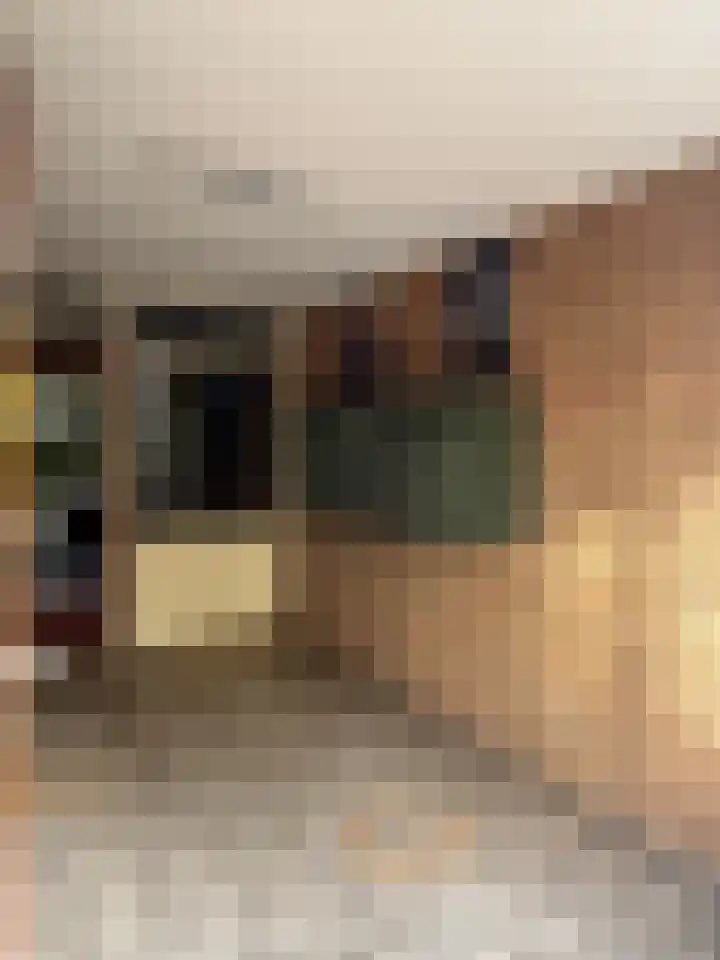 Roemer Visscherstraat 252 Vlaardingen thumbnail 18