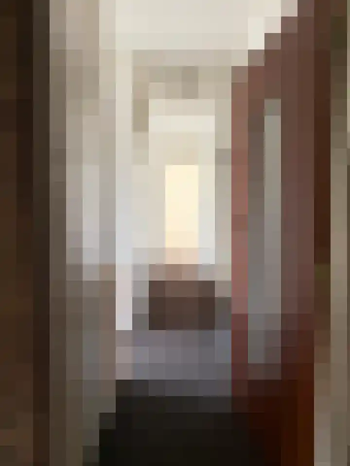 Roemer Visscherstraat 252 Vlaardingen thumbnail 4