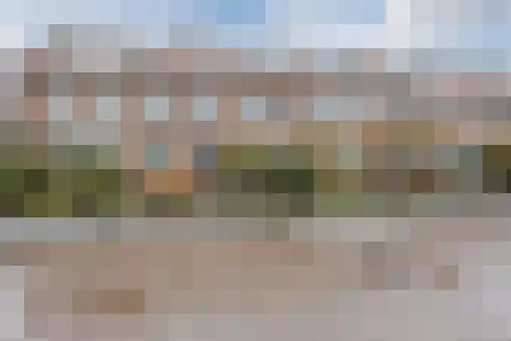 Roemer Visscherstraat 26 Zwolle thumbnail 4