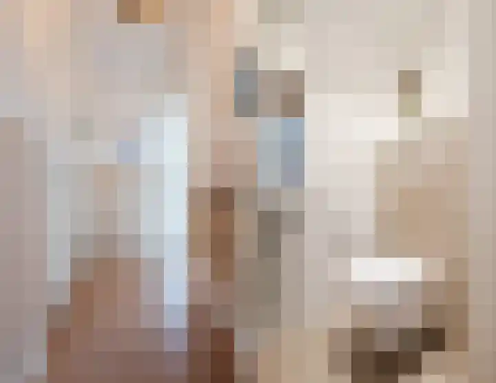 Roemer Visscherstraat 26 Zwolle thumbnail 6