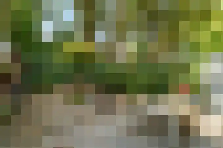 Roemer Visscherstraat 3 Arnhem thumbnail 42