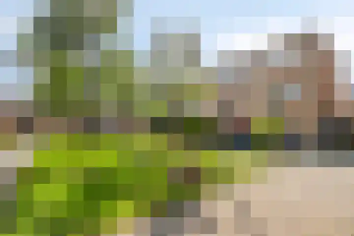 Roemer Visscherstraat 30 Almere thumbnail 25