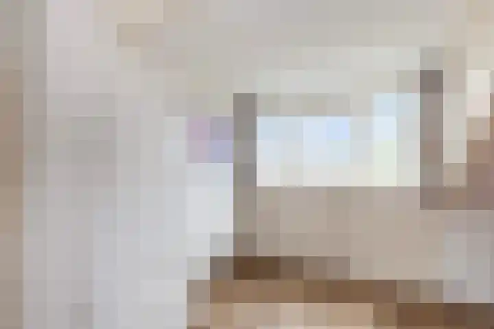 Roemer Visscherstraat 31 Alblasserdam thumbnail 31