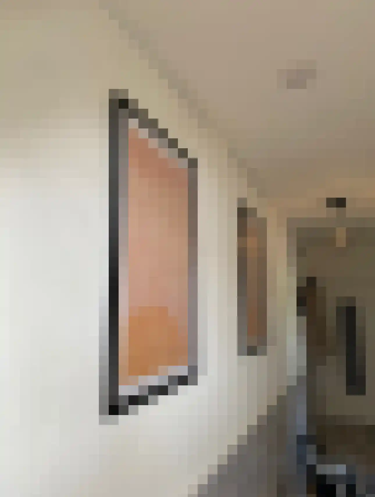 Roemer Visscherstraat 342 Vlaardingen thumbnail 17