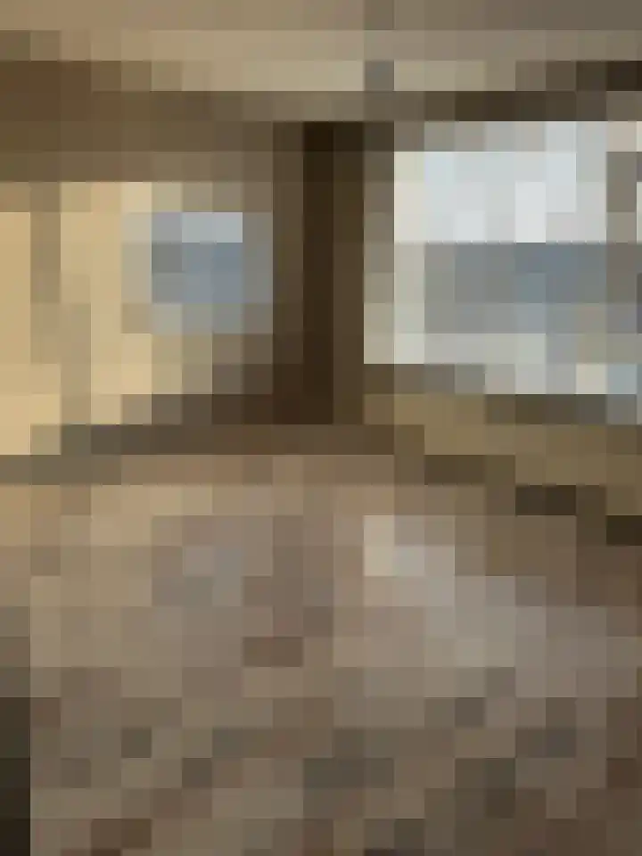 Roemer Visscherstraat 342 Vlaardingen thumbnail 5