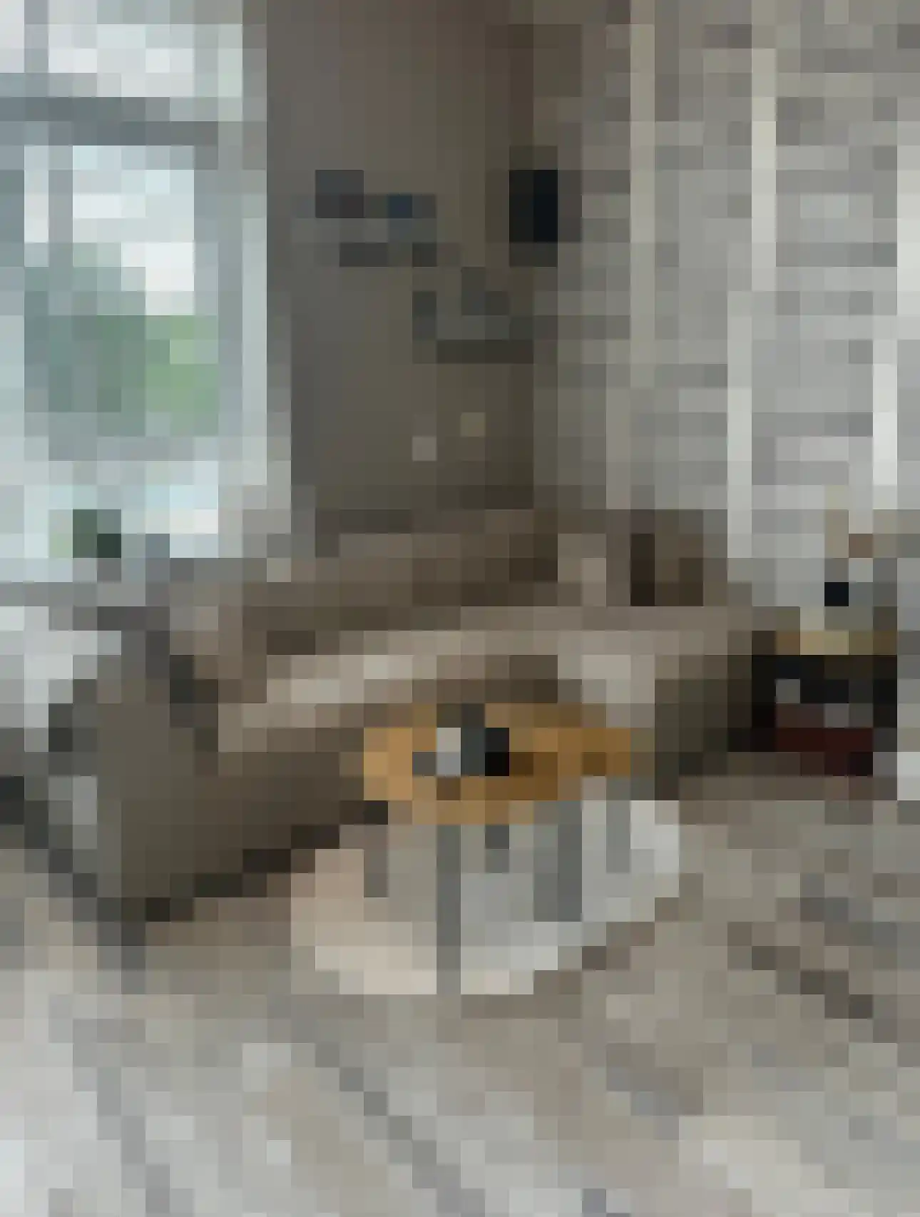 Roemer Visscherstraat 342 Vlaardingen thumbnail 8
