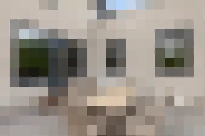 Roemer Visscherstraat 360 Vlaardingen thumbnail 14